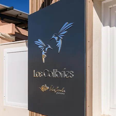 Colibries Excellent & Solmares Daire Isla Canela